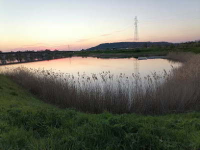 Le Bassin De Compensation Et D'attenuation Des Crues Des Muids photo