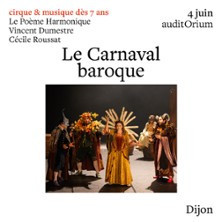 Le Carnaval Baroque photo