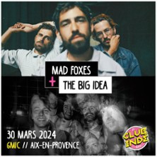 Le Club Indé - Mad Foxes + The Big Idea photo