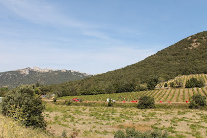 Le Domaine du Verdouble photo