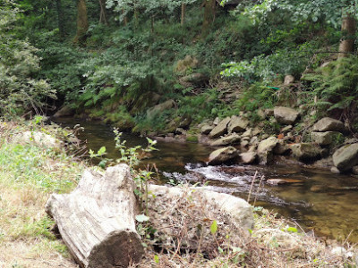 Le Gourp de la Loutre photo