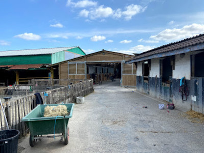Le Haras de Bouvigny photo