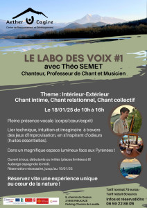 Le Labo des Voix - exploration vocale et chant improvisé photo