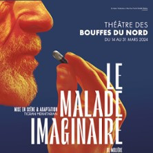 Le Malade Imaginaire - Théâtre des Bouffes du Nord, Paris photo