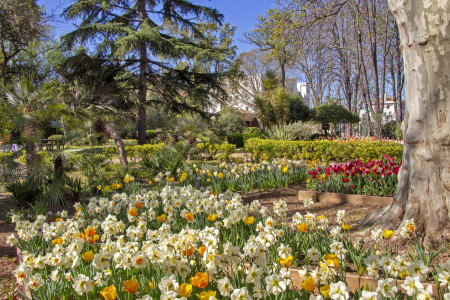 Le Parc Cravéro photo