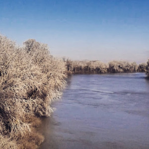 Le Petit Rhône photo