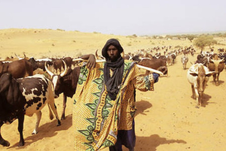 Le Peul et la Vache Cycle « Oralité » de mars à juin Avec Abou Fall (récit & cha photo