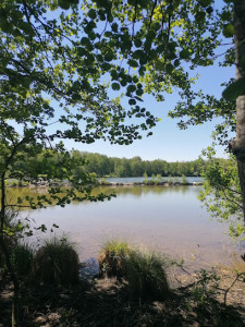 Le Plan d'Eau photo