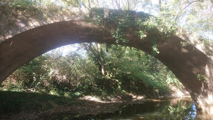 Le Pont Romain photo