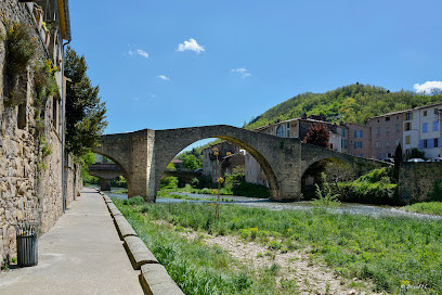 Le Pont Vieux photo