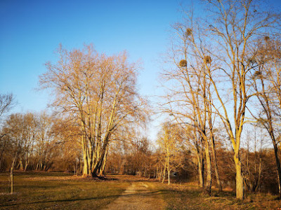 Les Ballastières photo