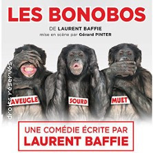 Les Bonobos photo