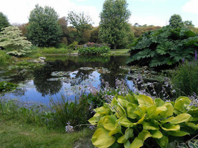 Les Châtaigniers photo