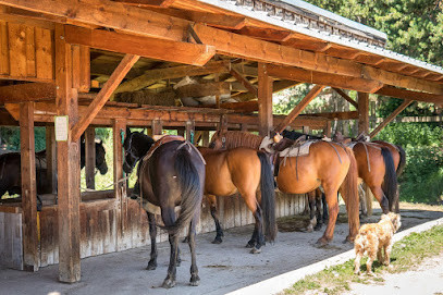 Les chevaux de la Tramontane photo