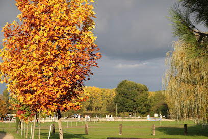 Les Ecuries de Beaumont Sur Oise photo