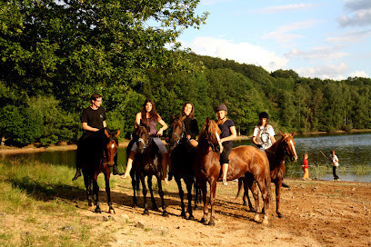 Les Écuries De La Croix Des Bois photo