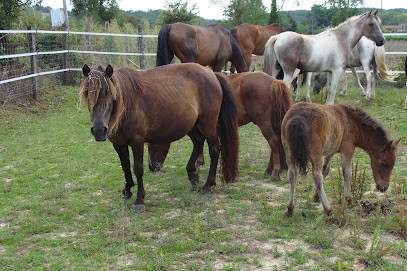 Les Ecuries de Sulliac photo