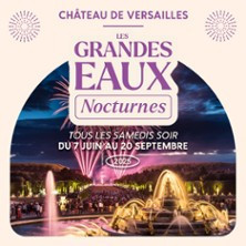Les Grandes Eaux Nocturnes du Château de Versailles photo
