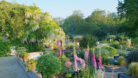 Les Jardins de Coursiana photo