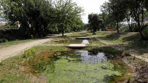 Les jardins de la Basse photo