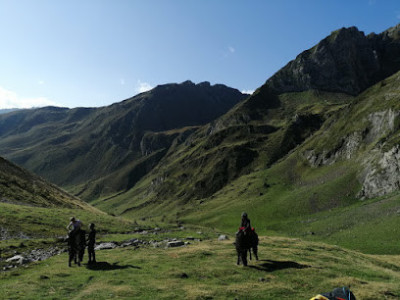 Les Oréades- Cheval en Hautes Pyrénées photo