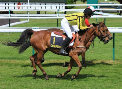 Les Poneys d'Abord photo
