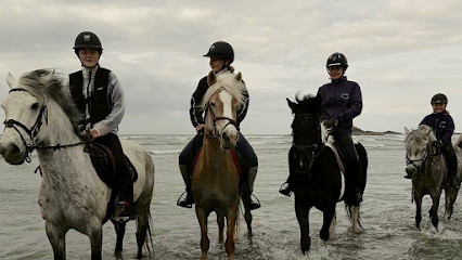 Les Poneys de La Millière photo