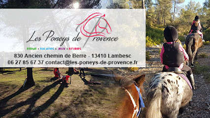 Les Poneys De Provence photo