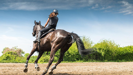 LES PONEYS D'EOLE photo