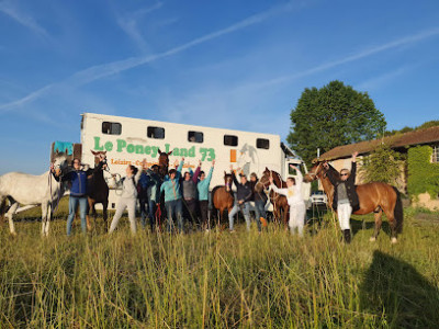 Les poneys du lien photo