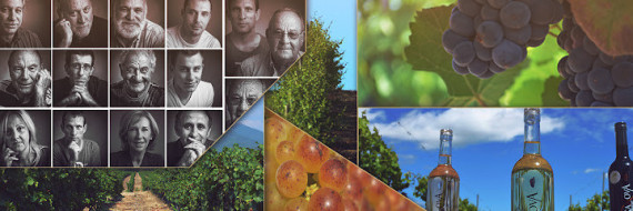 Les Vignerons d'Aghione photo