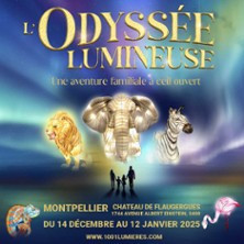 L'Odyssée Lumineuse - Montpellier photo