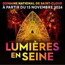 Lumières en Seine - Billet Daté photo