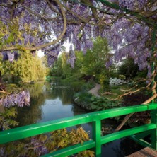Maison et Jardins de Claude Monet à Giverny photo
