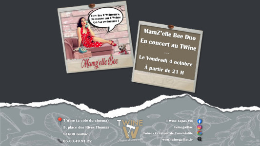 MamZ'elle Bee duo en concert au T'Wine photo