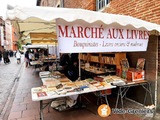 Marché aux livres, BD, affiches cinéma, Vinyles et DVD à Toulouse photo