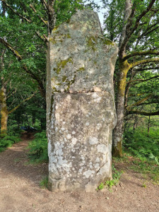 Menhir de Ceinturat photo