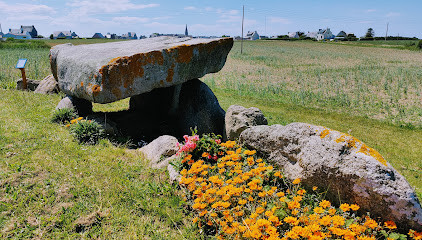 Menhir De Diévet photo