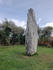 Menhir de Kermario photo