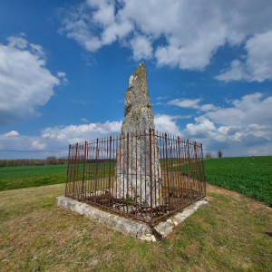 Menhir de la Haute-Borne photo