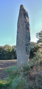 Menhir de la Roche Longue photo