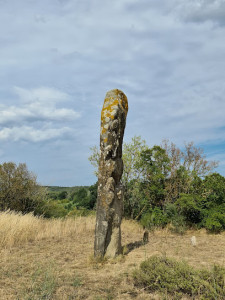 MENHIR DE MALVES photo