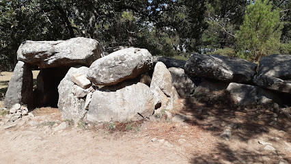 Menhir de Mane-Bras photo