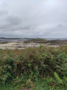 Menhir de Menozac’h (visible uniquement à marée basse) photo