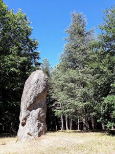 Menhir et arboretum de Menat photo