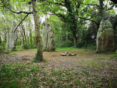 Menhirs de Kerfland photo