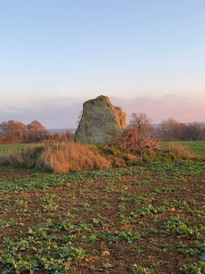 Menhirs des Gastines photo