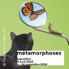 Métamorphoses (+ Les Expositions) photo