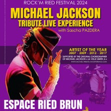 Mickael Jackson - Tribute Live Experience photo