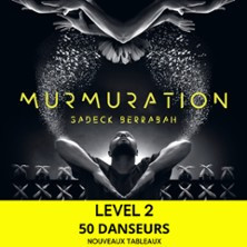 Murmuration de Sadeck Berrabah - Level 2 - Le 13e Art, Paris photo